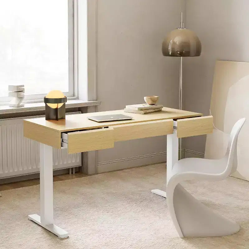 48 Inch Electric Standing Desk with Drawers, Height Adjustable Stand Up Desk with Storage, Computer Workstation for Home Office