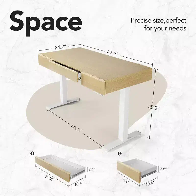 48 Inch Electric Standing Desk with Drawers, Height Adjustable Stand Up Desk with Storage, Computer Workstation for Home Office
