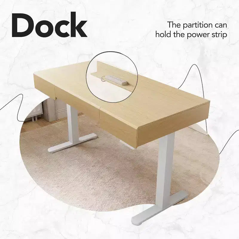 48 Inch Electric Standing Desk with Drawers, Height Adjustable Stand Up Desk with Storage, Computer Workstation for Home Office