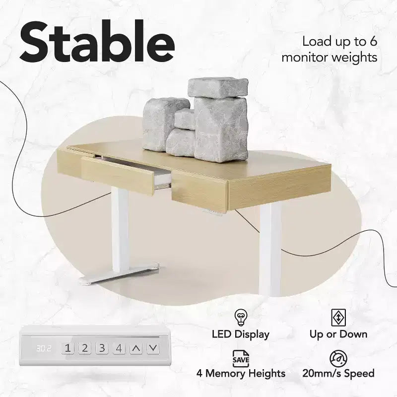 48 Inch Electric Standing Desk with Drawers, Height Adjustable Stand Up Desk with Storage, Computer Workstation for Home Office